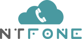 Logo NT Web