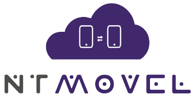 Logo NT Web